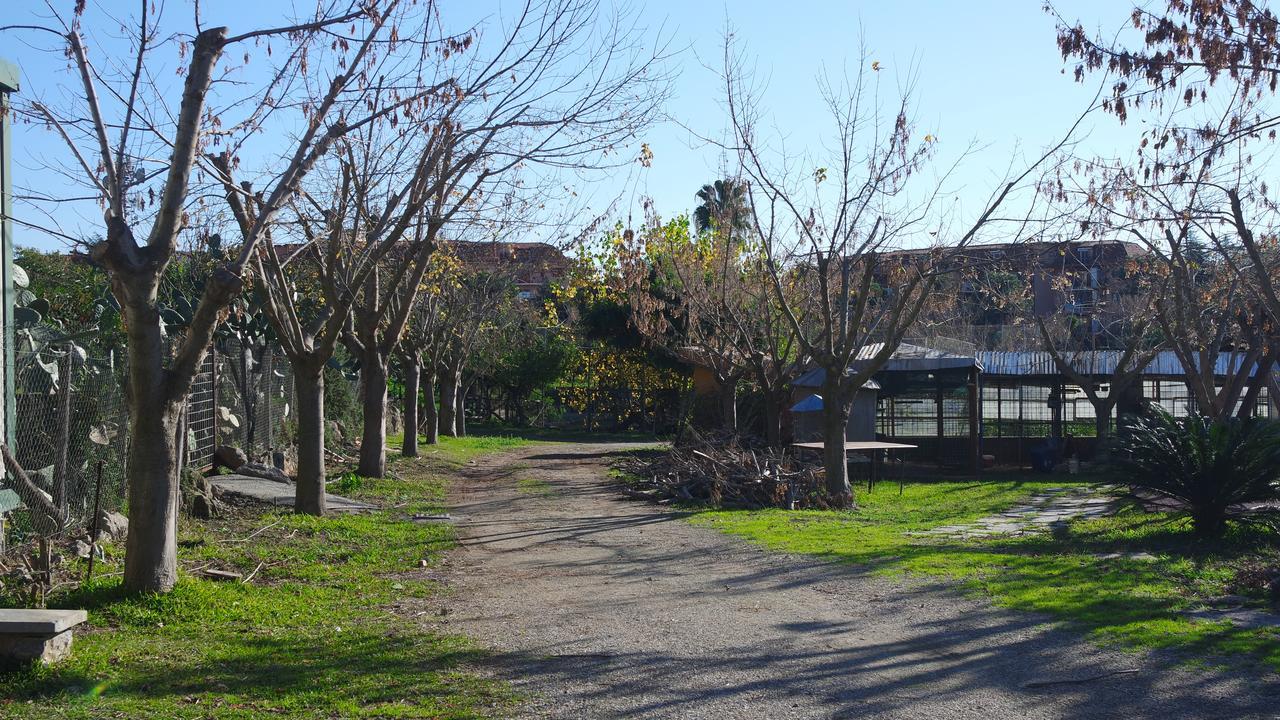Agriturismo Masseria I Risi Pension SantʼEufemia Lamezia Buitenkant foto