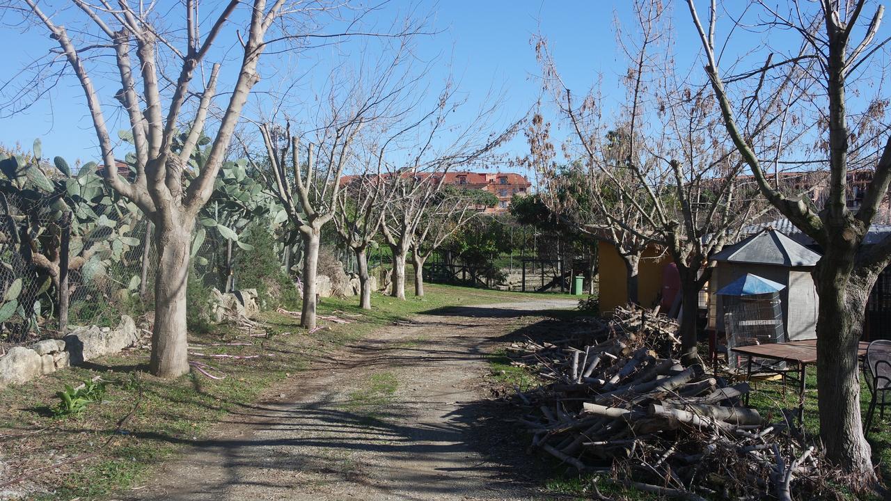 Agriturismo Masseria I Risi Pension SantʼEufemia Lamezia Buitenkant foto