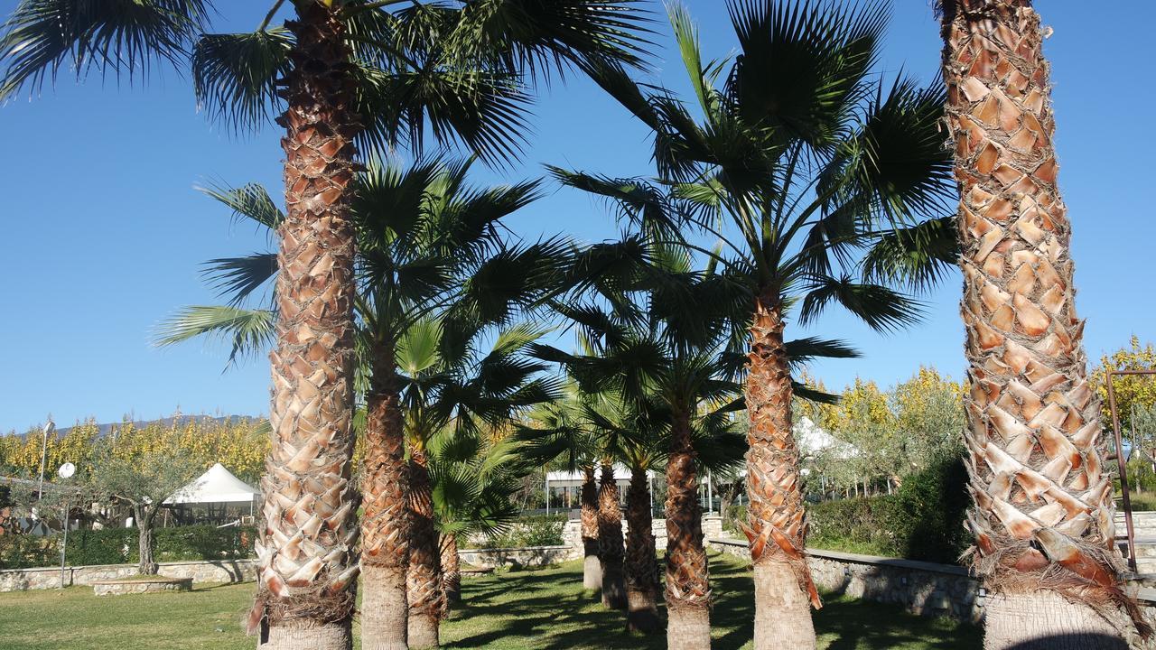 Agriturismo Masseria I Risi Pension SantʼEufemia Lamezia Buitenkant foto