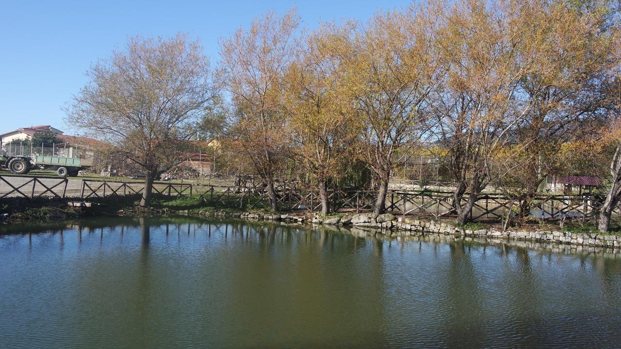 Agriturismo Masseria I Risi Pension SantʼEufemia Lamezia Buitenkant foto