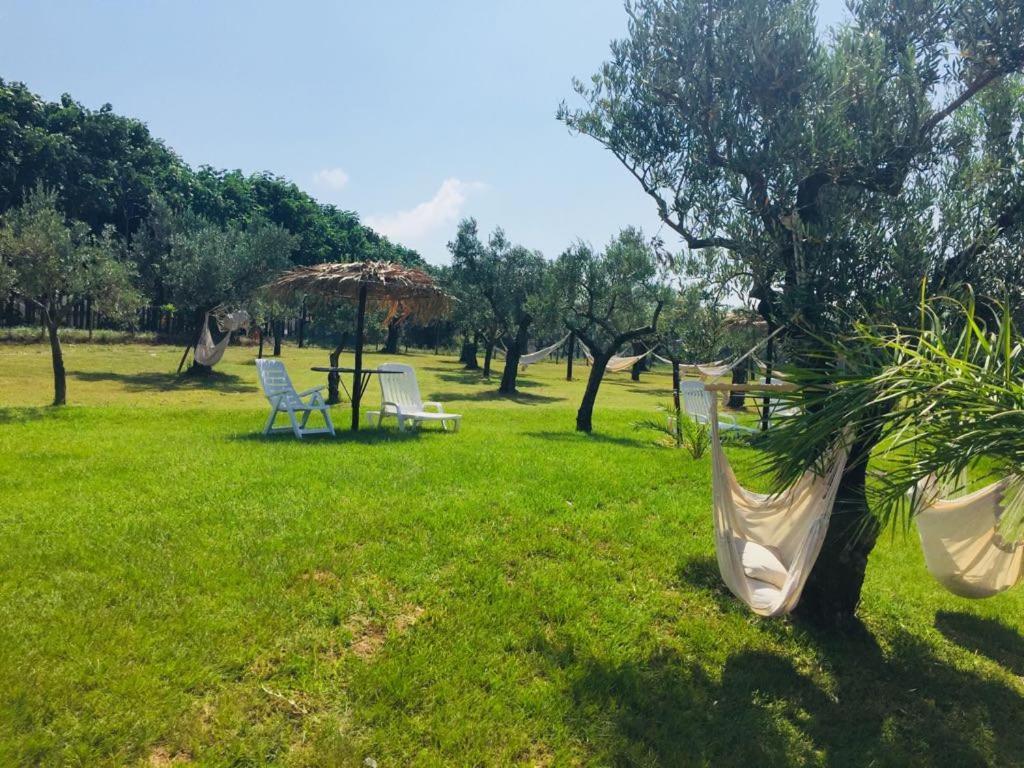 Agriturismo Masseria I Risi Pension SantʼEufemia Lamezia Buitenkant foto
